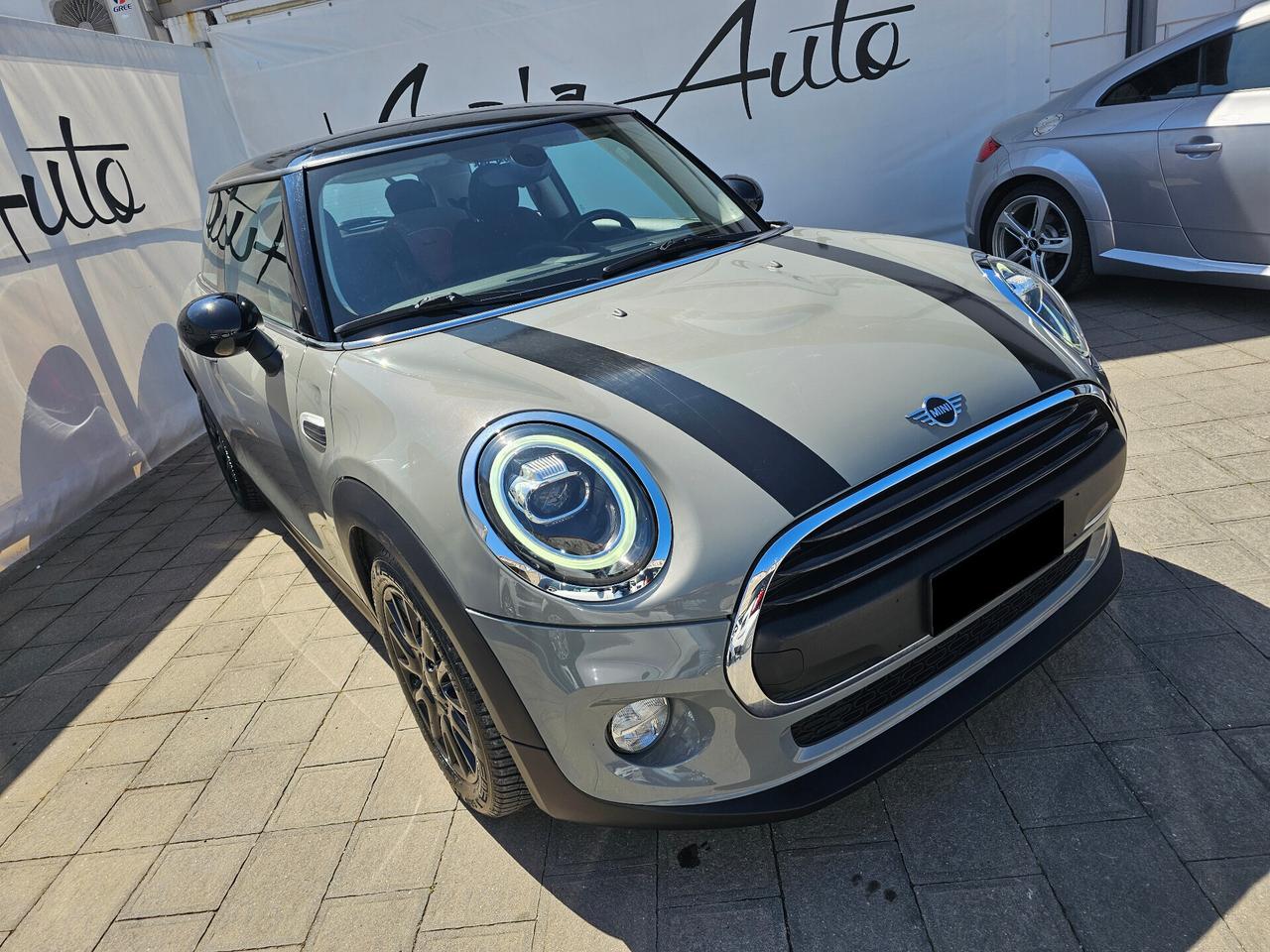 Mini Mini 1.5 One D Hype