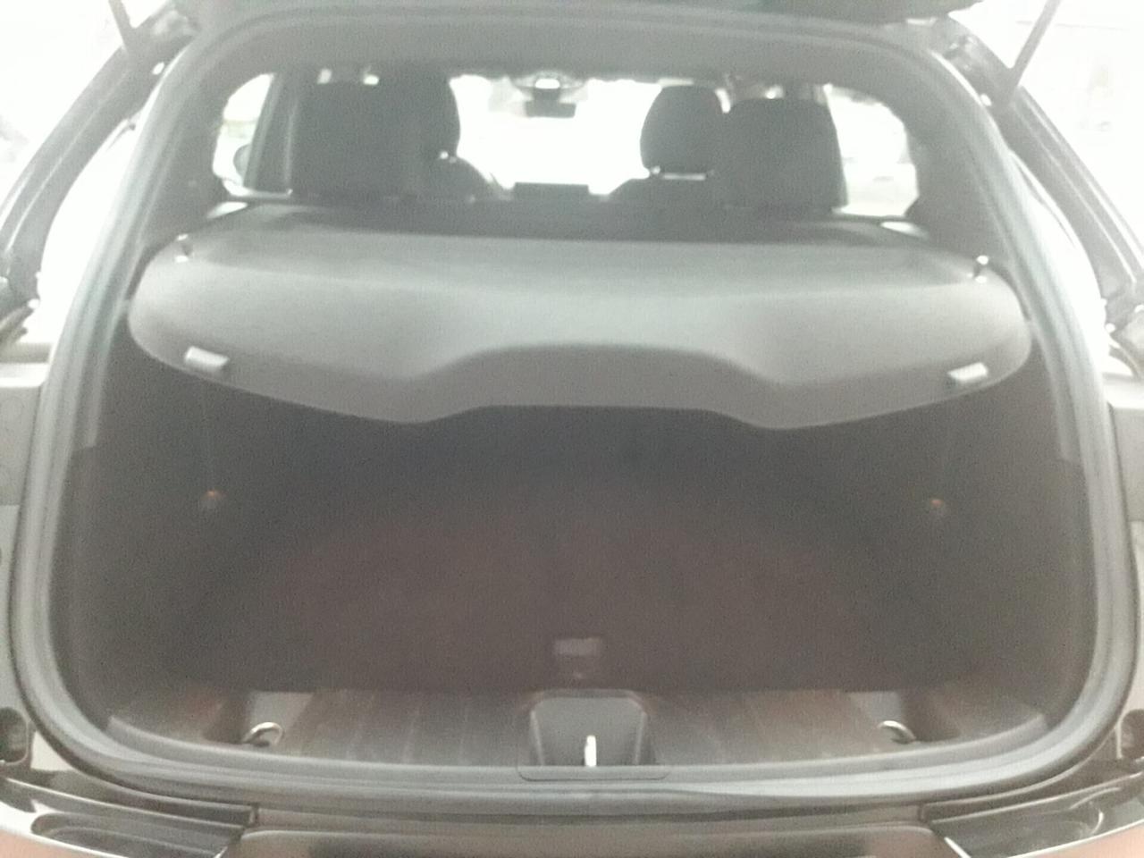 Alfa Romeo Tonale 1.6 diesel 130 CV TCT6 Ti