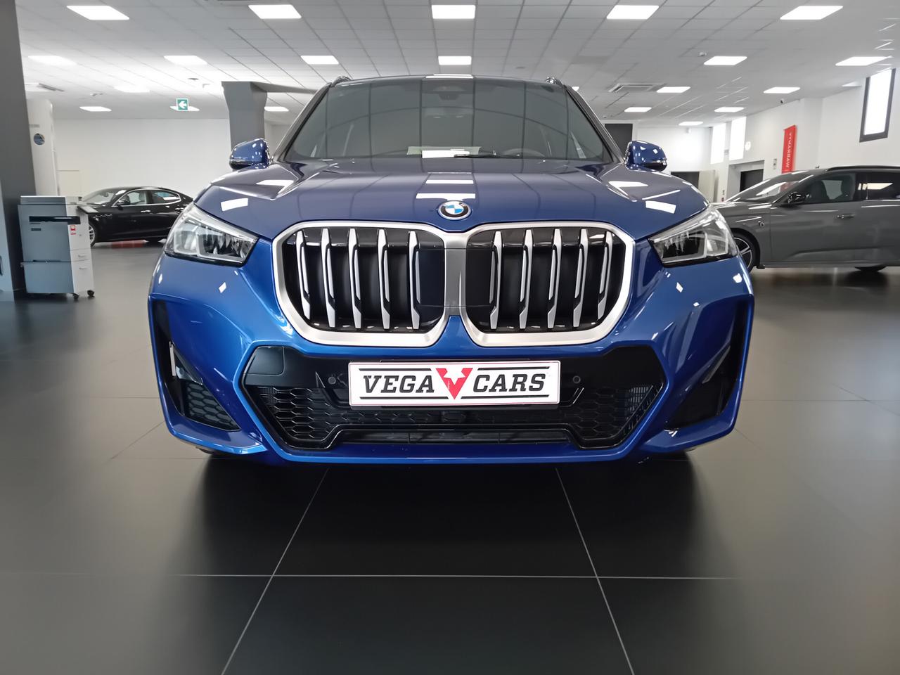 Bmw X1 xDrive 25e Msport