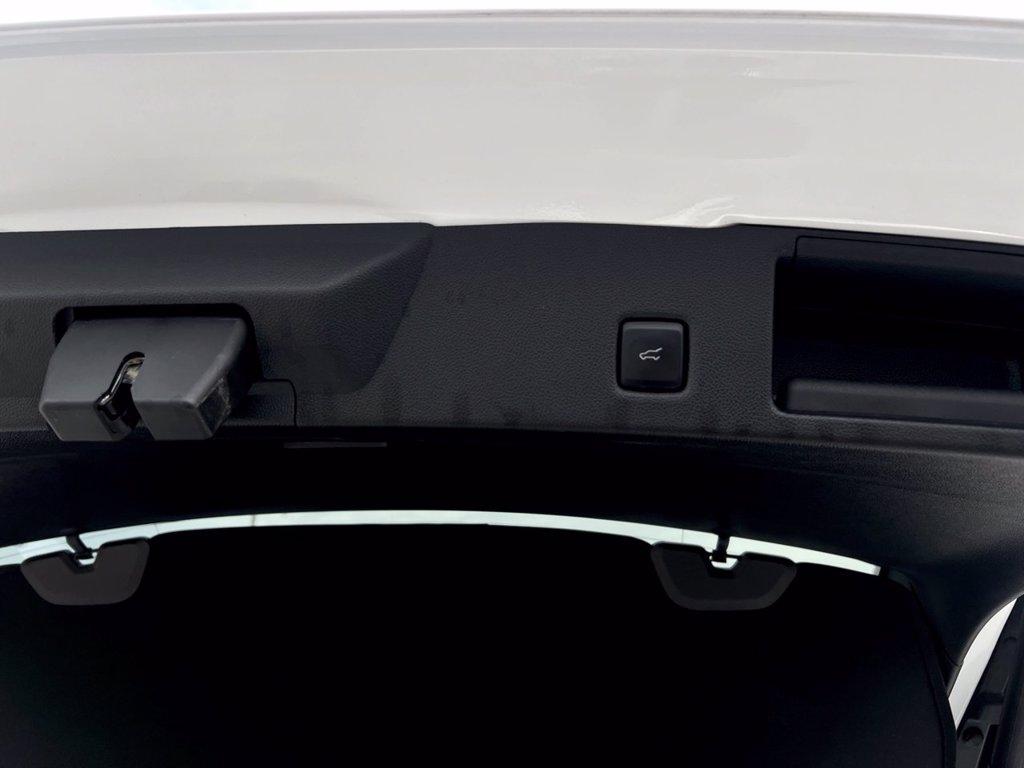 FORD Kuga 1.5 EcoBlue 120 CV aut. 2WD ST-Line X del 2022