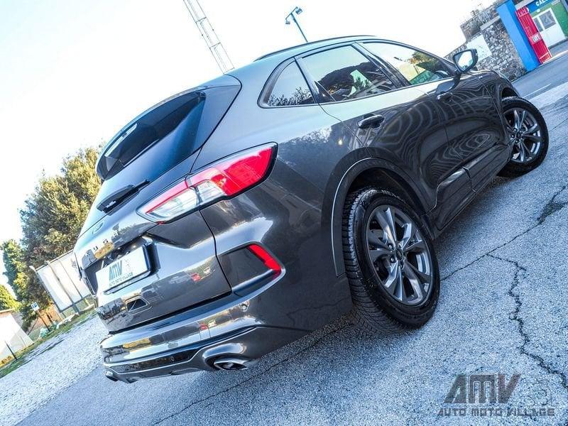 Ford Kuga 1.5 EcoBlue 120 CV 2WD ST-Line