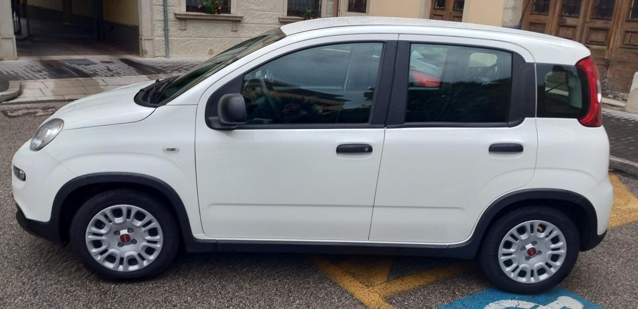 Fiat Panda 1.0 FireFly S&S Hybrid NEOPATENTATI