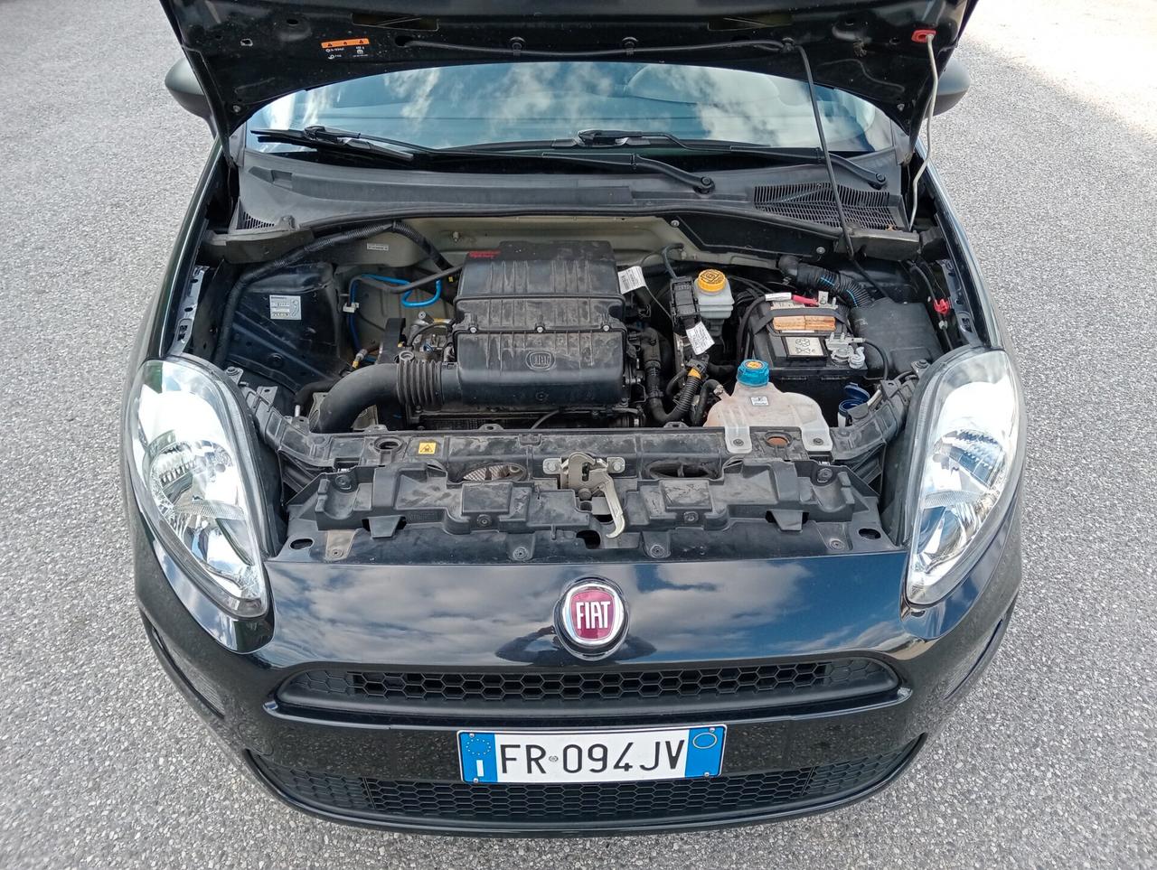 Fiat Punto 1.2 69CV 5p. Street UNIPROPRIETARIO
