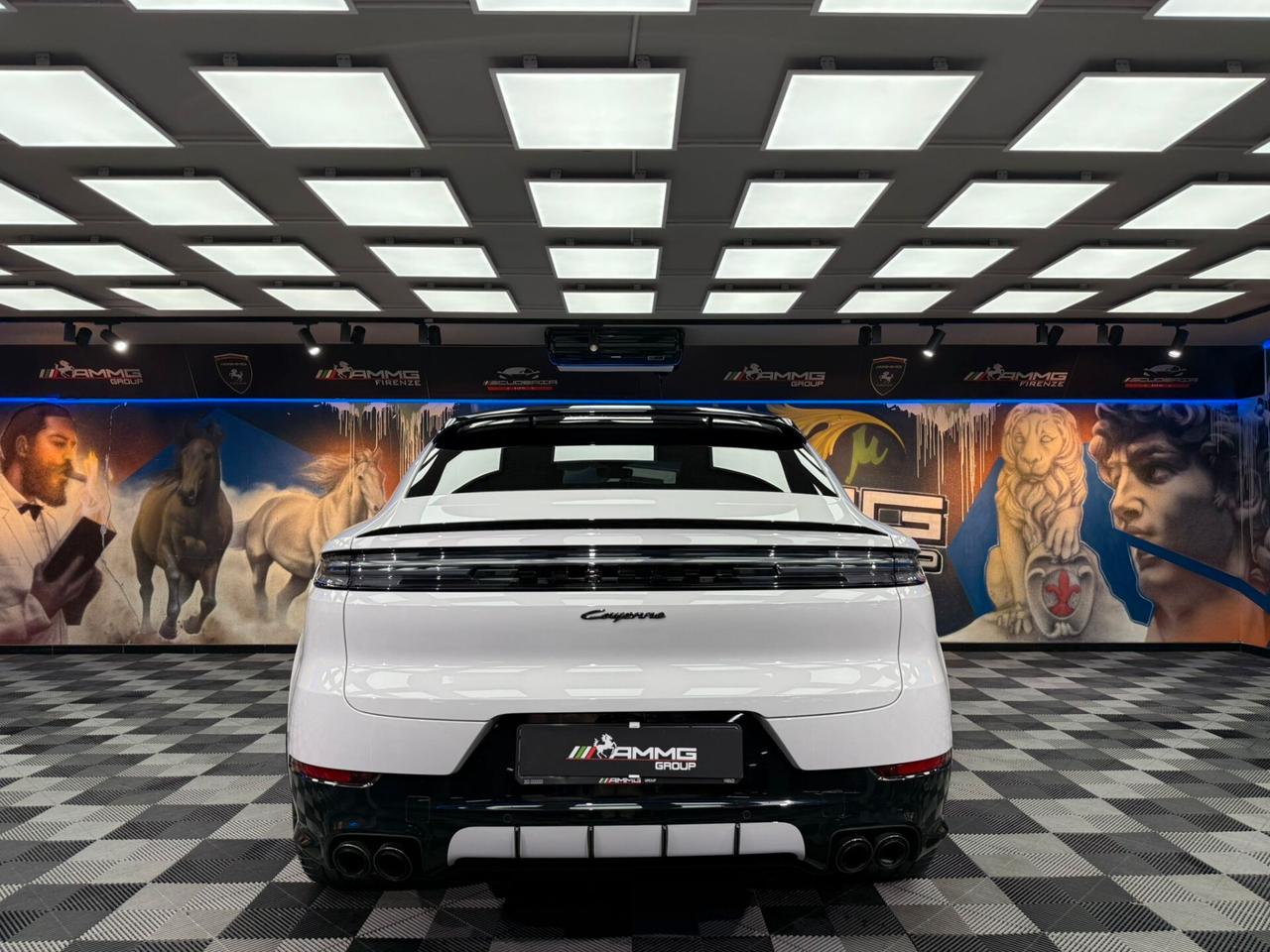 Porsche Cayenne 3.0 V6 E-Hybrid (483)
