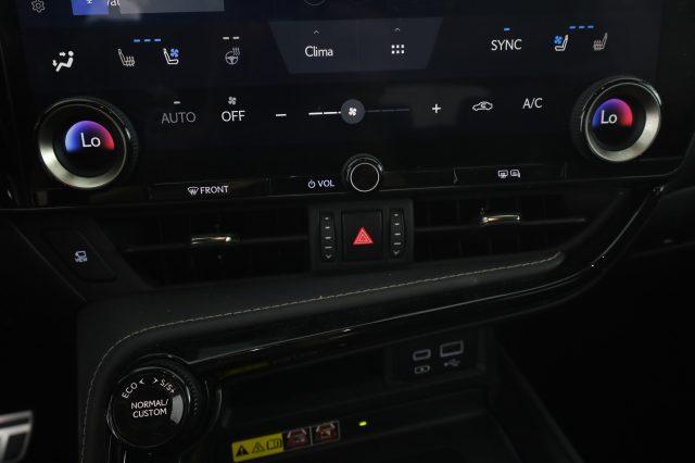 LEXUS Other NX NX Hybrid 4WD F-Sport