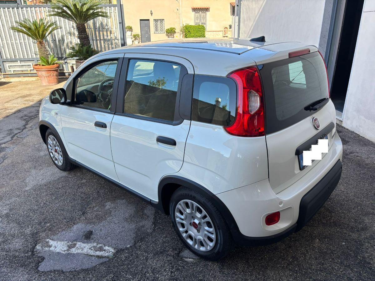 FIAT Panda 1.0 FireFly S&S Hybrid City Life 5 Posti