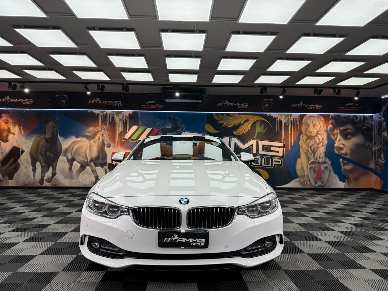 Bmw 420 420d Cabrio (730)