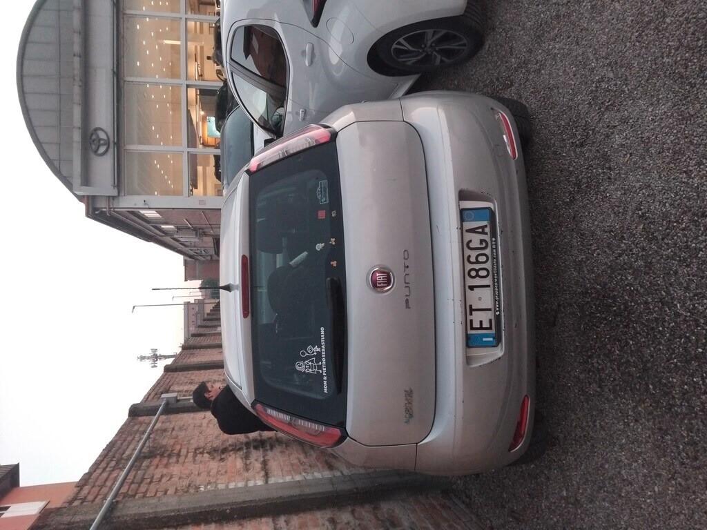 Fiat Punto 1.4 8V 5 porte Natural Power Street