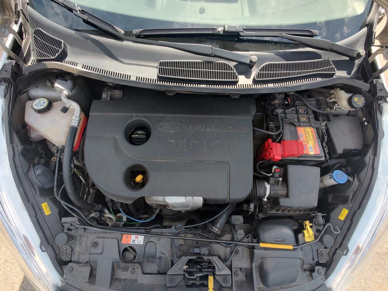 Ford Fiesta 1.5 TDCi 75CV 5 porte Titanium, OK NEOPATENTATI, GARANZIA L.12 MESI