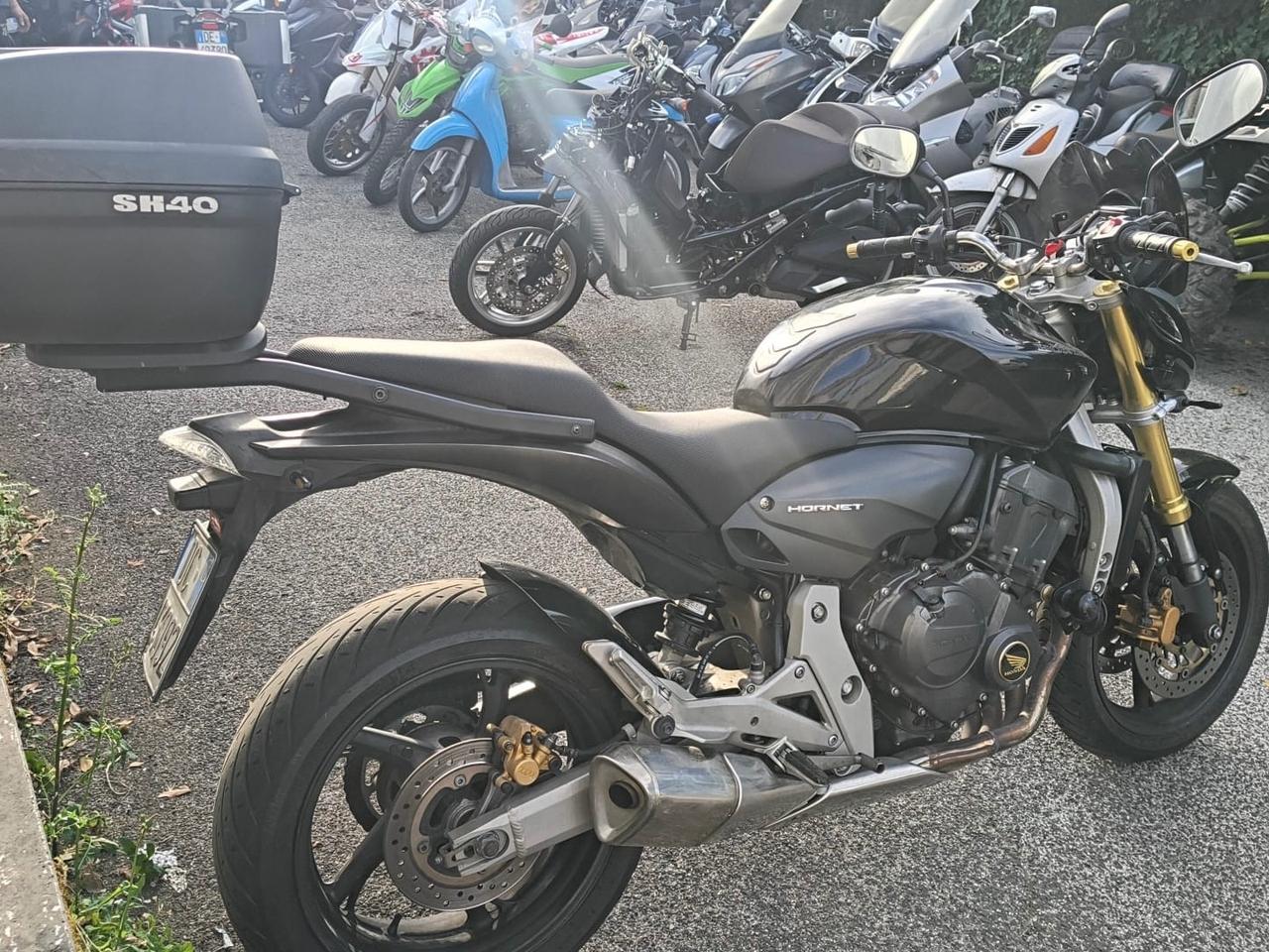 Honda Hornet 600