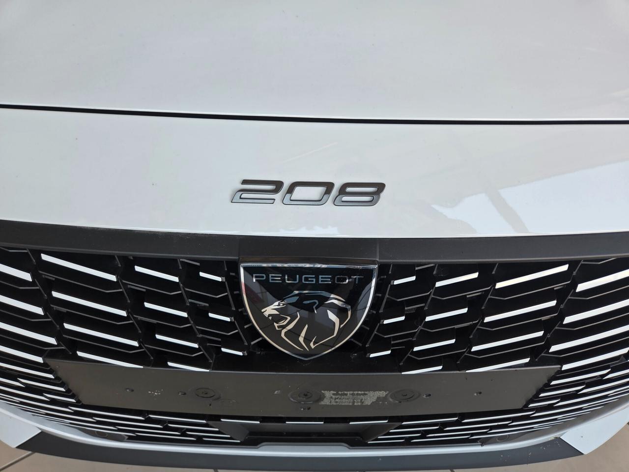 Peugeot 208 BUSINESS 100 CV NESSUN OBBLIGO FINANZIARIO