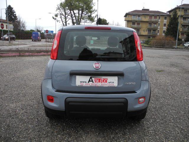 FIAT Panda 1.0 FireFly S&S Hybrid City Life - OK NEOPATENTATI