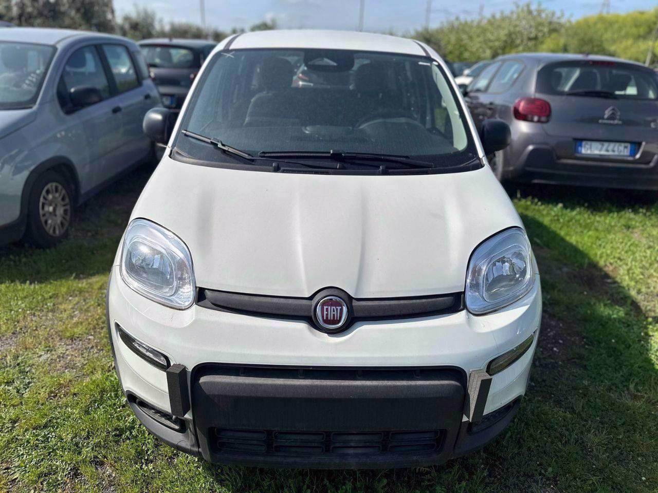 FIAT Pandina III 2024 - Pandina 1.0 firefly hybrid Icon s&s 65cv