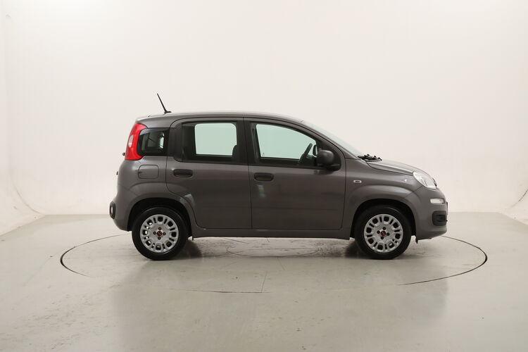 Fiat Panda Easy BZ681848 1.2 Benzina 69CV