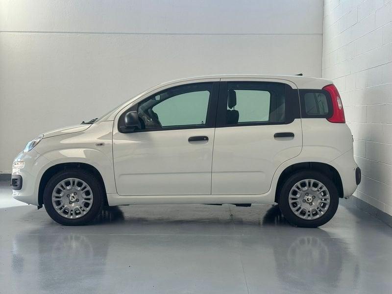 FIAT Panda Panda 1.0 FireFly S&S Hybrid Icon