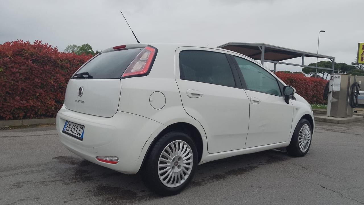 Fiat Punto 1.3 MJT 75CV 5 porte Van Easy 4 posti