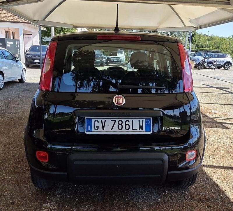 FIAT Panda Panda 1.0 firefly hybrid s&s 70cv 5p.ti