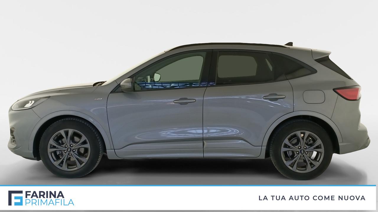 FORD Kuga III 2020 - Kuga 1.5 ecoblue ST-Line Design 2wd 120cv