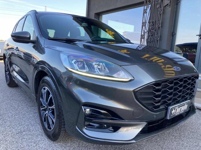 FORD Kuga 1.5 EcoBlue 120 CV 2WD ST-Line