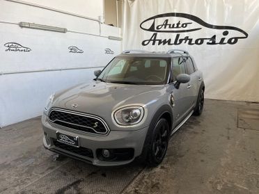 MINI Countryman Mini 1.5 Cooper SE 'ALL4' Countryman ALL4 TUA DA 256,00 AL MESE