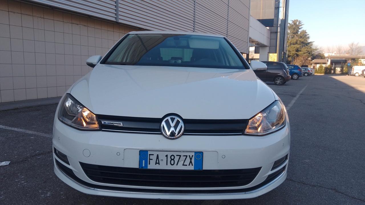 Vw golf VII 1.4 TGI DSG BLUEMOTION 2016 neop metano