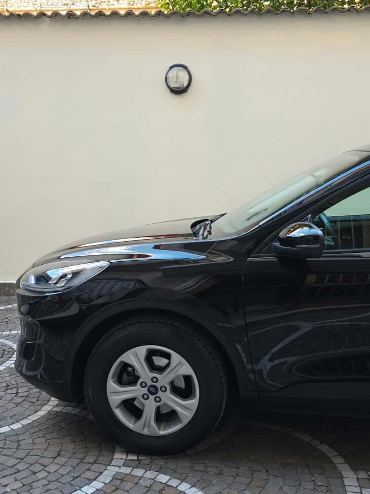 Ford Kuga 1.5 EcoBlue 120 CV aut. 2WD Titanium Business