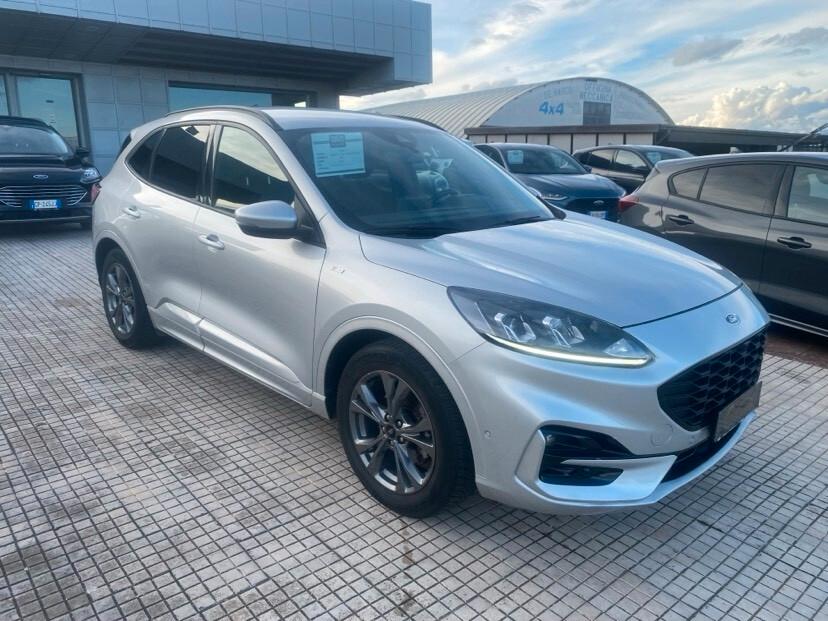 Ford Kuga 1.5 EcoBlue 120 CV 2WD ST-Line