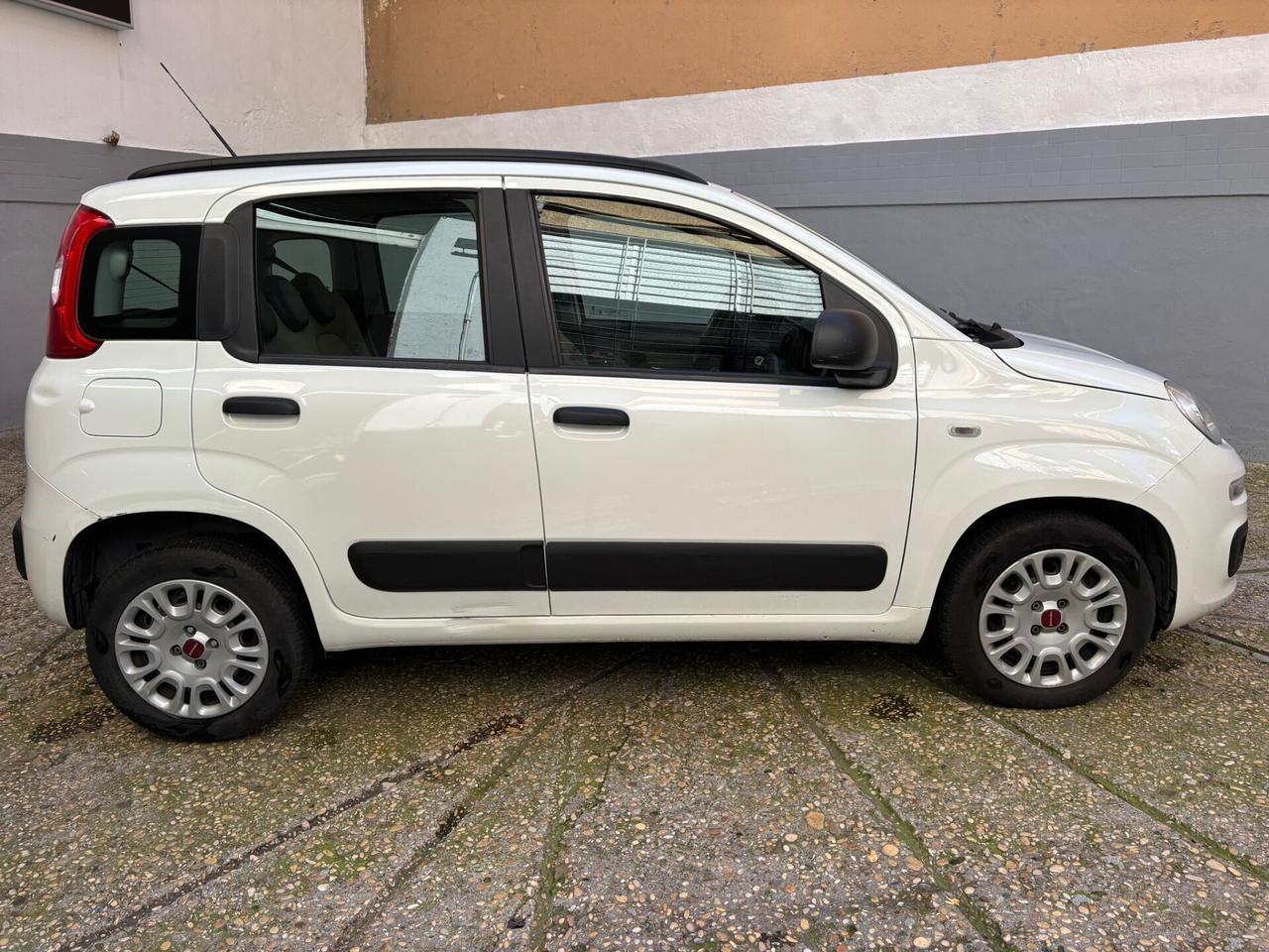 Fiat Panda 1.2 GARANZIA 12 MESI TAGLIANDO - UNIPRO