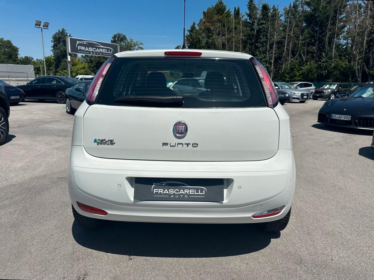Fiat Punto 1.4 8V 5 porte Natural Power Lounge /UNICO PROPRIETARIO