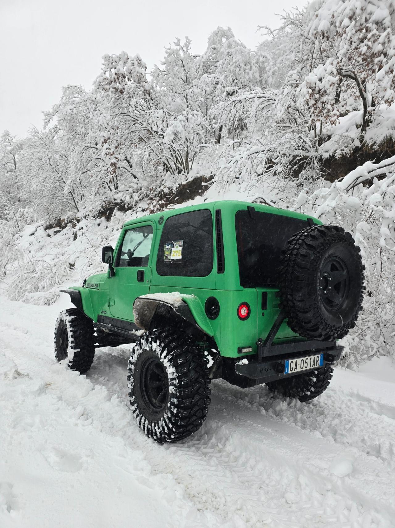Jeep Wrangler TJ 4.0 OffRoad Preparata