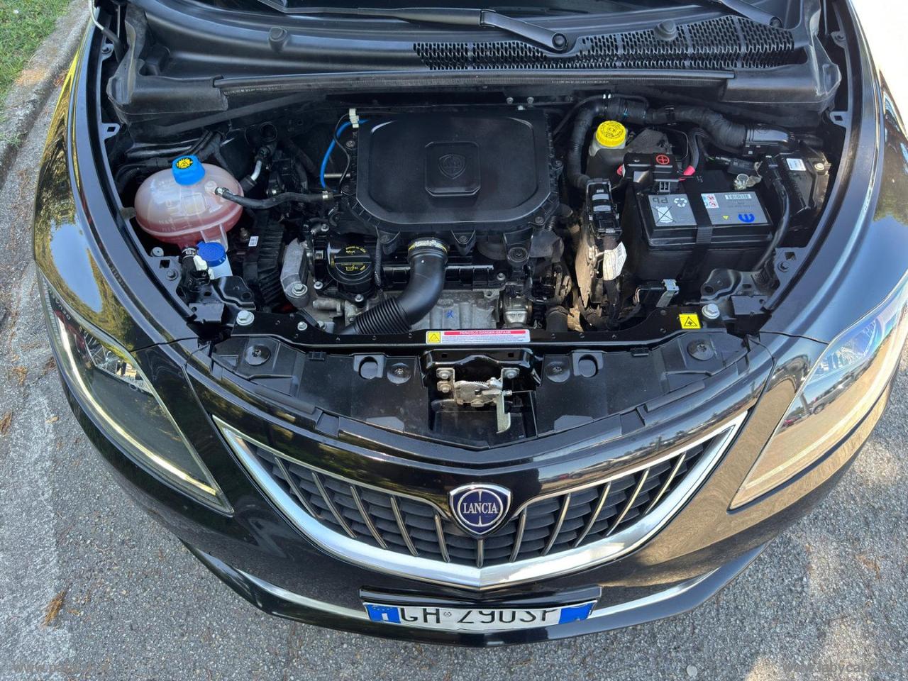 LANCIA Ypsilon 1.0 FireFly 5pS&S Hyb. Eco Silv.