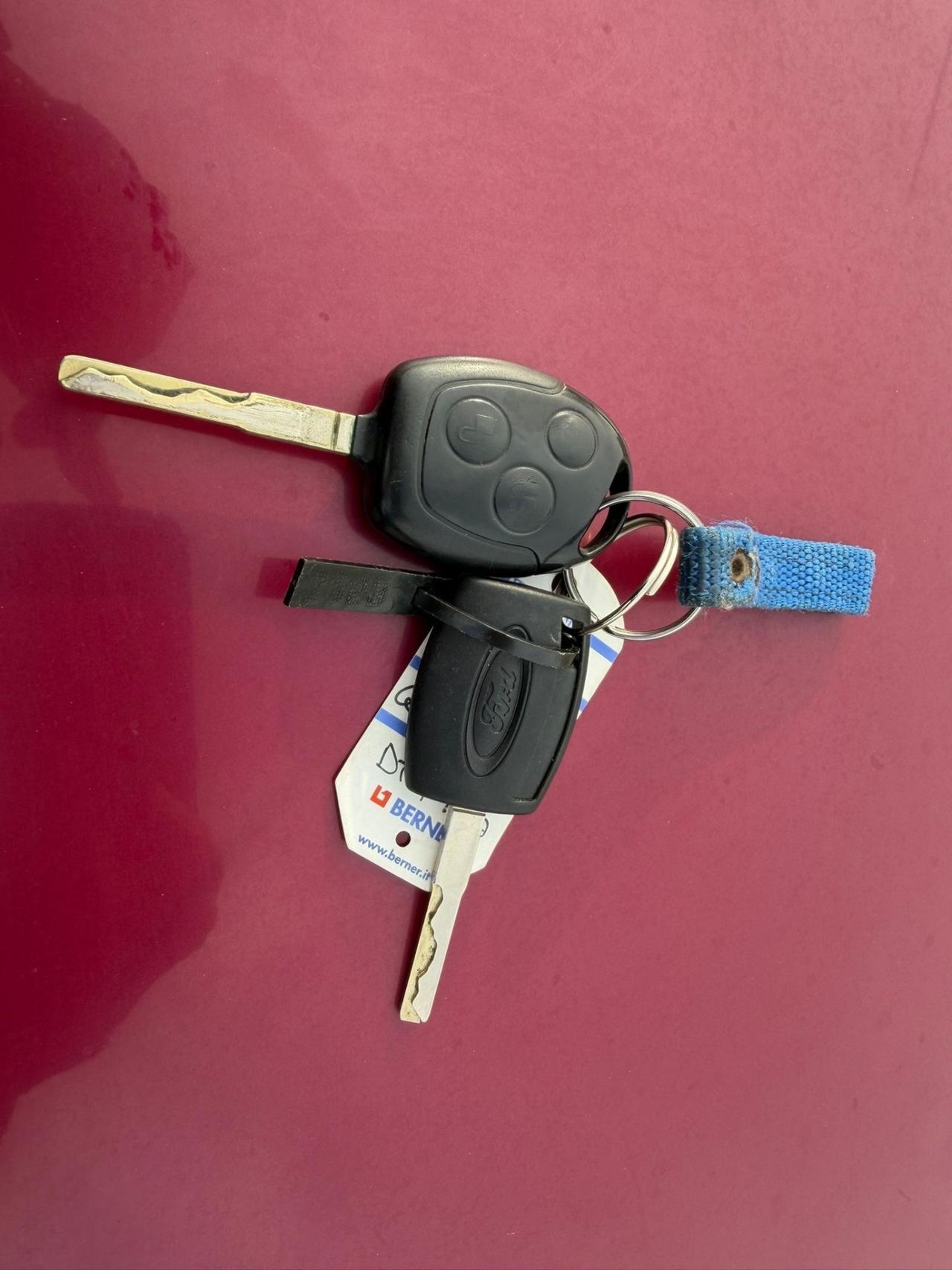 Ford Fiesta 1.2 82 CV 5 porte Titanium