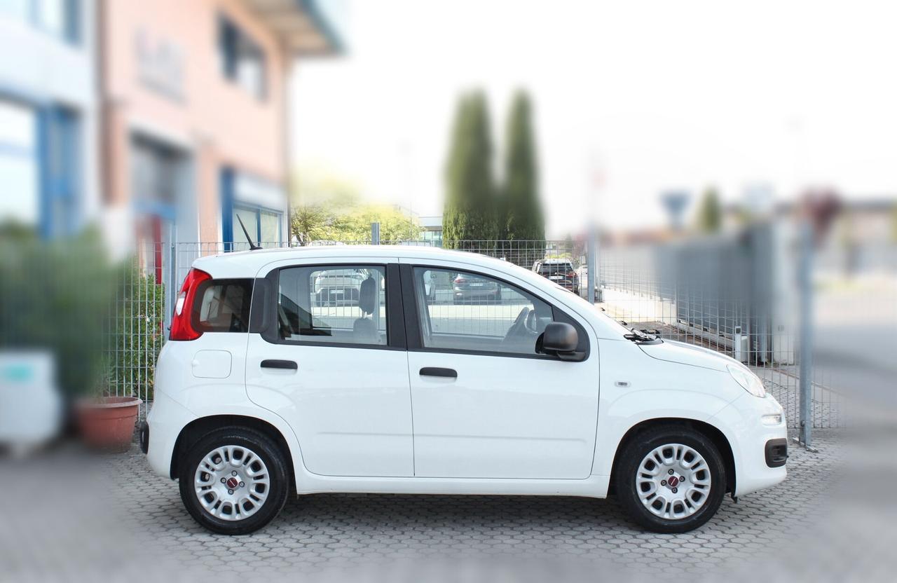 Fiat Panda 1.0 FireFly S&S Hybrid-5 ANNI DI GARANZIA