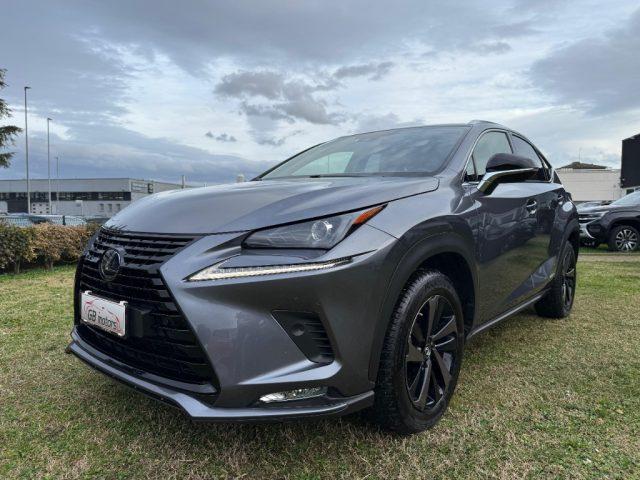 LEXUS NX 300 Hybrid 4WD Premium NAVI - LED - PELLE - TELEC - 18