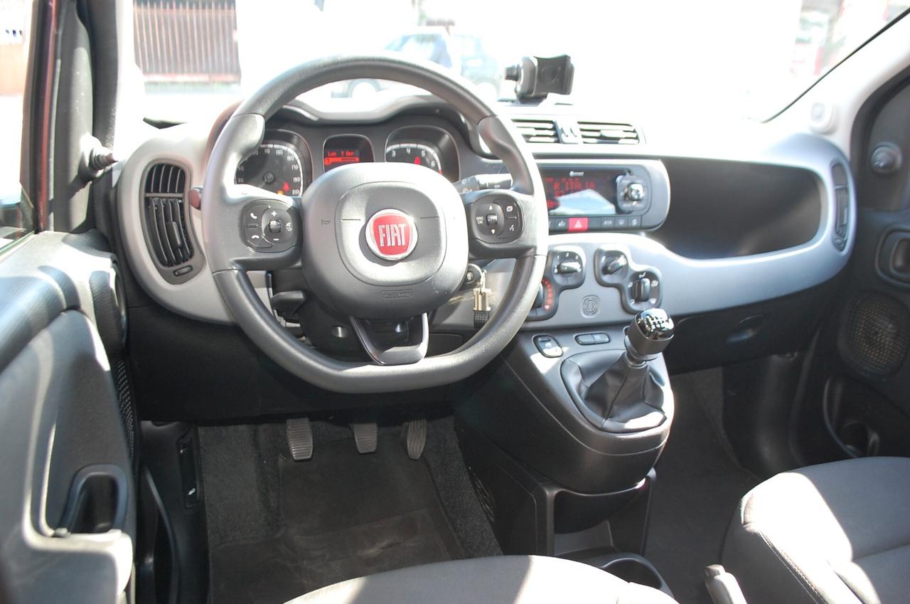Fiat Panda 1.0 firefly hybrid 70CV City Cross S&S Uff Italy