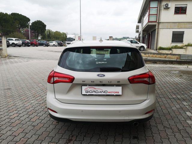 FORD Focus 1.5 EcoBlue 120 CV automatico SW Business Co-Pilot