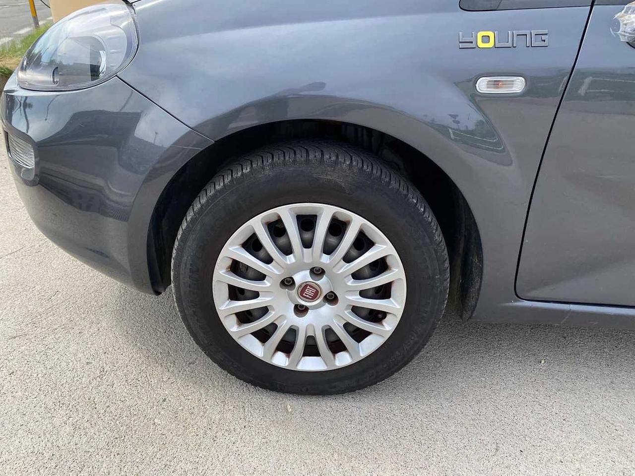 Fiat Punto 1.2 8V 5 porte Young