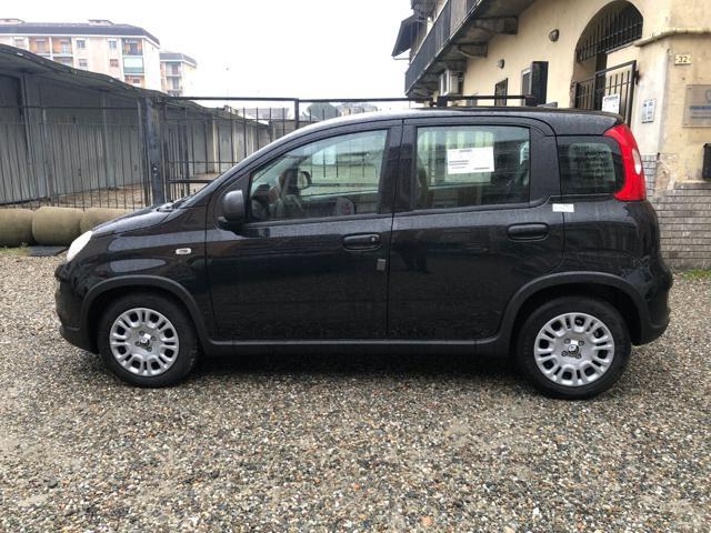 FIAT Panda 1.0 FireFly S&S Hybrid Pandina