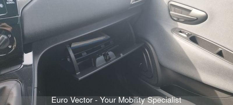 Lancia Ypsilon Ypsilon 1.2 69 CV 5 porte GPL Gold Plus