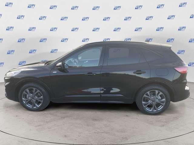 Ford Kuga 2.0 ecoblue ST-Line X 2wd 120cv auto