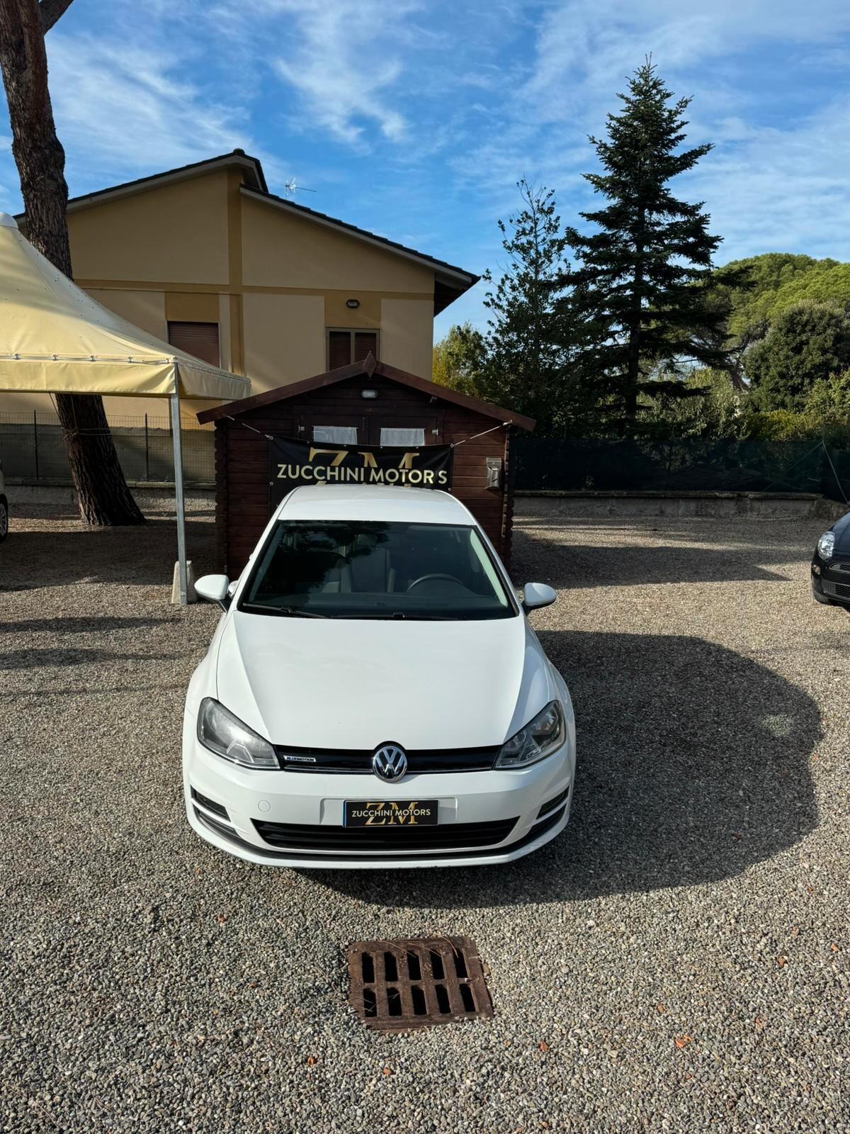 Volkswagen Golf 1.4 TGI 5p. Highline BlueMotion