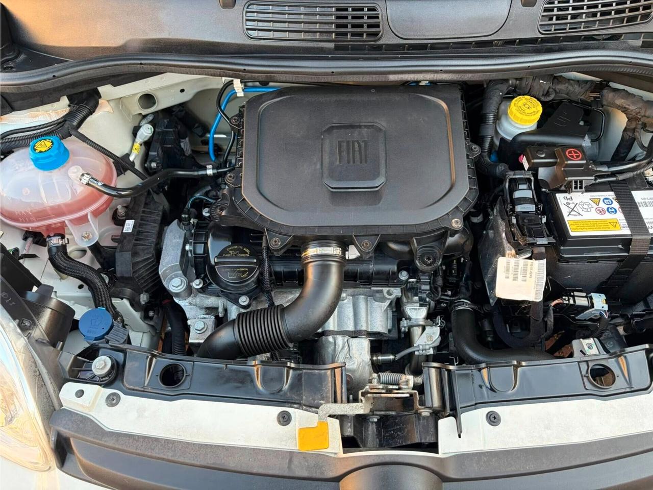 FIAT PANDA HYBRID CITY LIFE NO OBBLIGHI