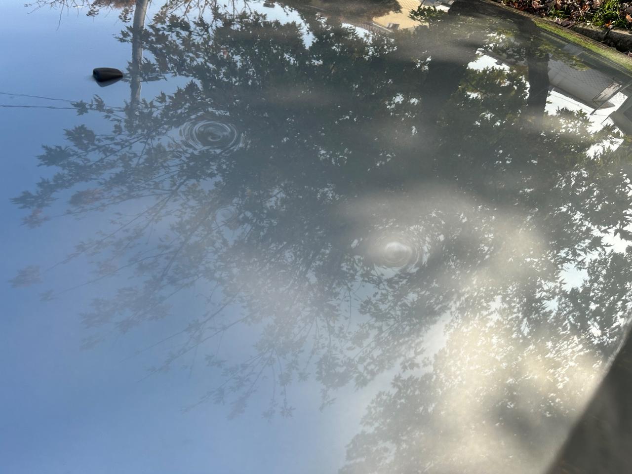 Bmw 525d 177cv cat Touring Attiva 2006