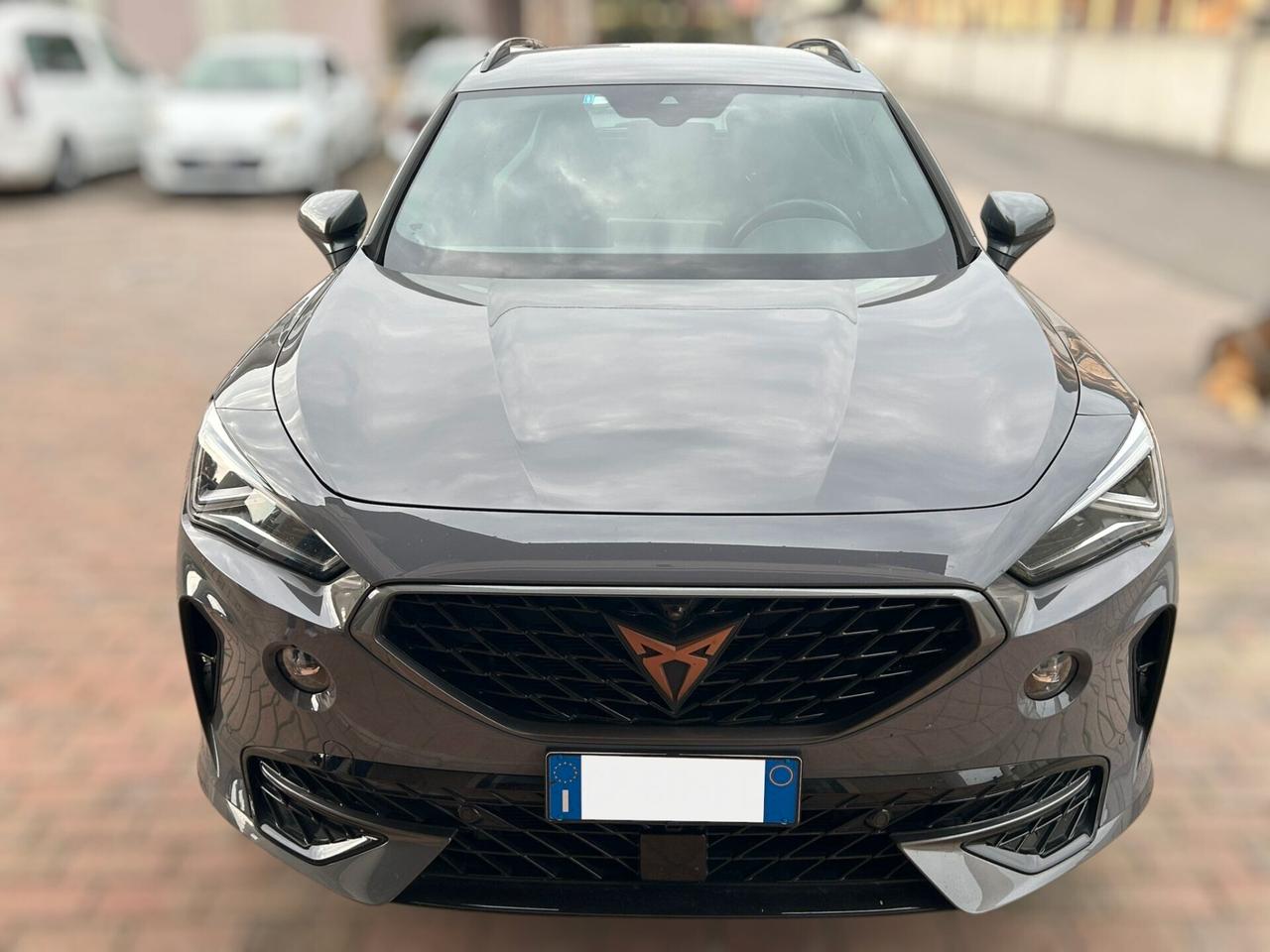 Cupra Formentor 2.0 tsi 4drive 190cv dsg