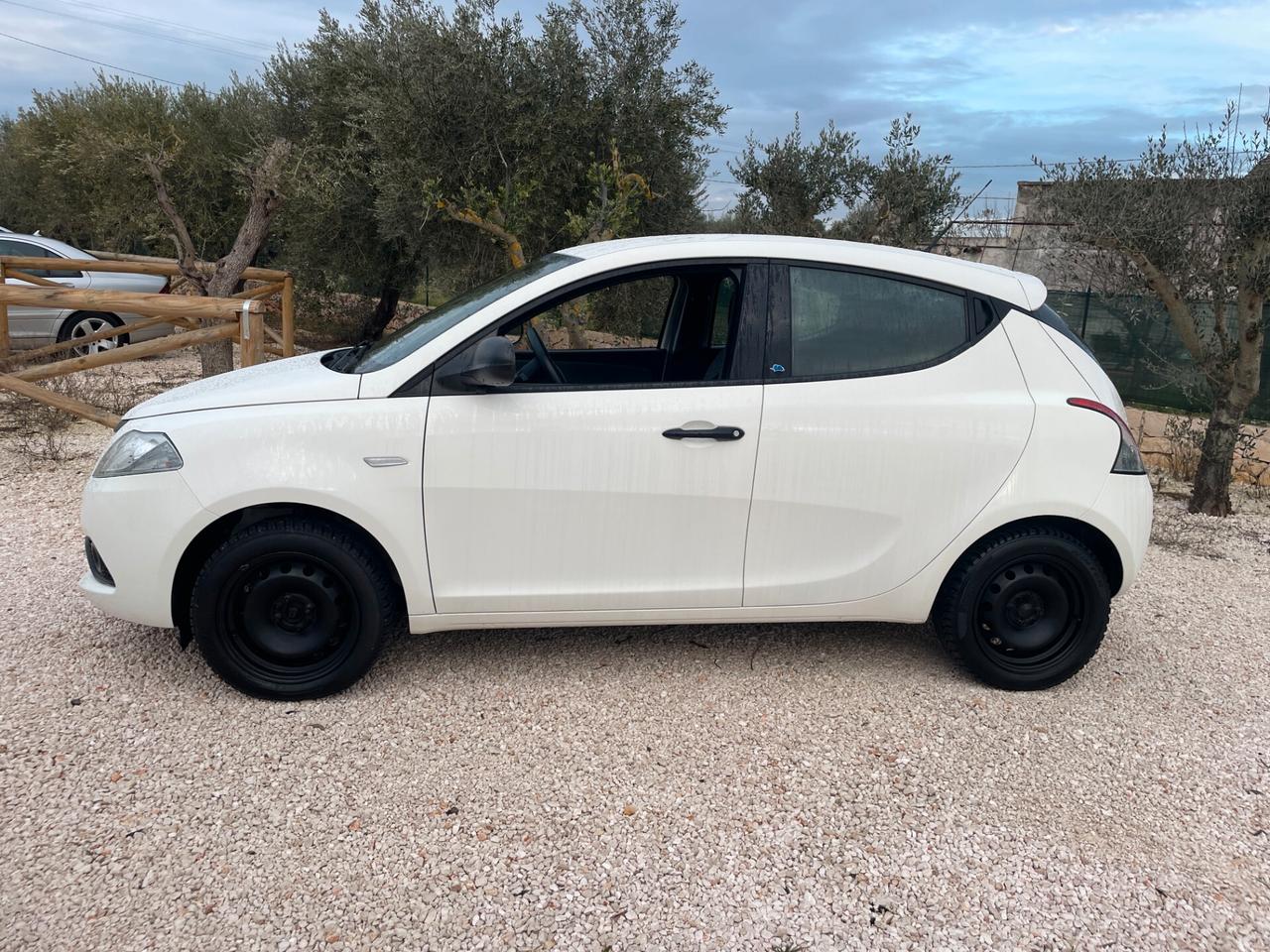 Lancia Ypsilon 1.3 MJT 75 CV Passion AUTOMATICO