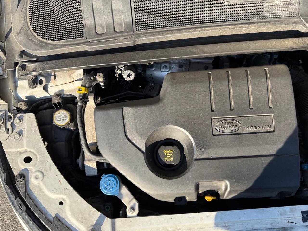 Land Rover Range Rover Evoque SE Dynamic eD4 #8853