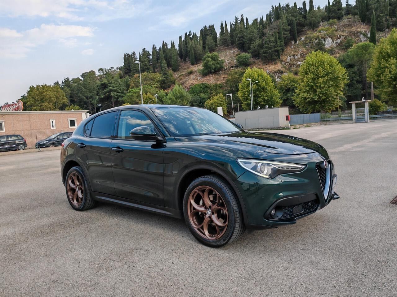 Alfa Romeo Stelvio 2.2 Turbodiesel 210 CV AT8 Q4 Super