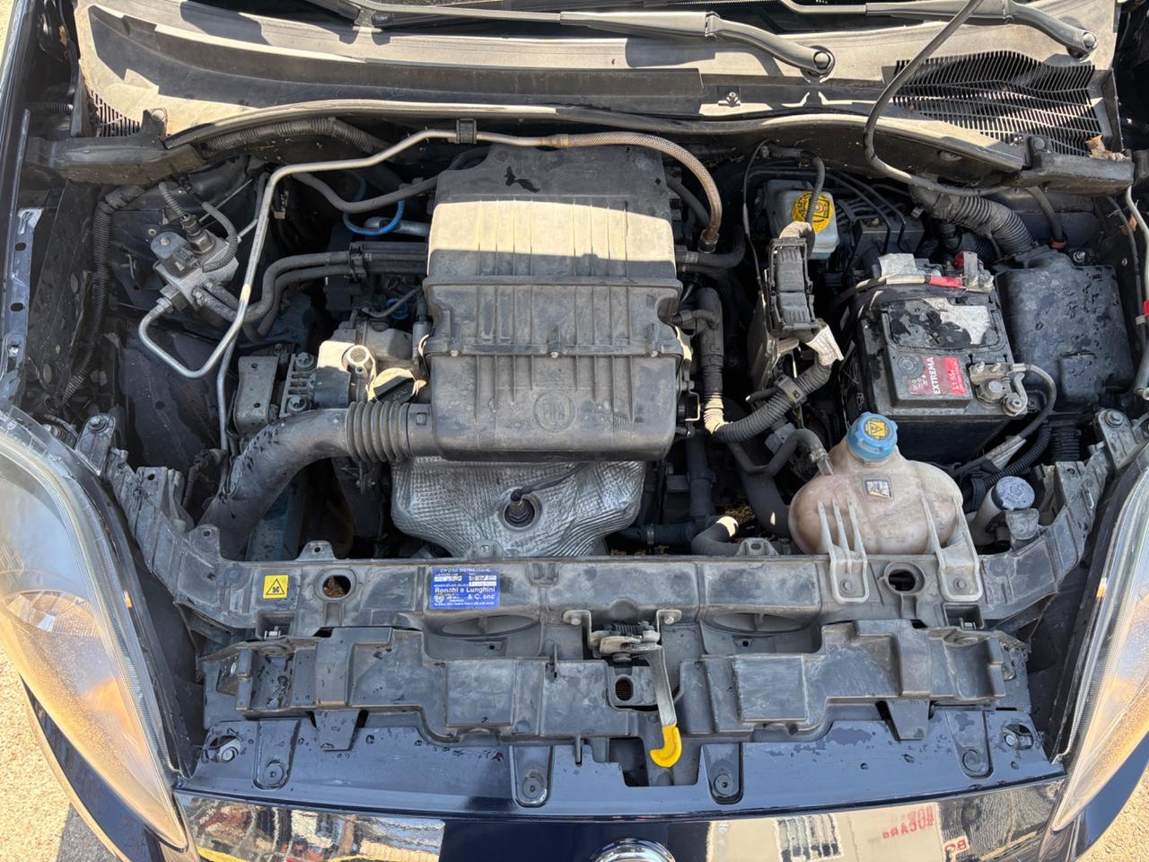 Fiat Punto 1.4 8V 5 porte Natural Power Lounge