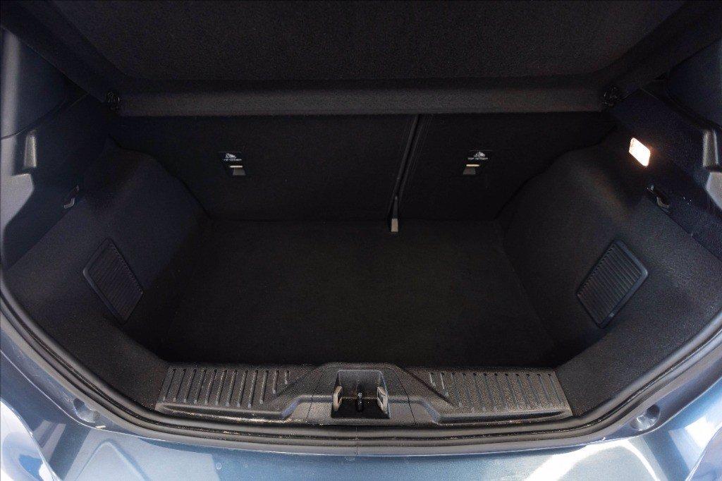 FORD Fiesta Active 1.0 ecoboost h s&s 125cv my20.75 del 2020