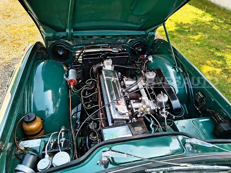 Triumph TR4 IRS Verde inglese | 1966 ASI Guida sinistra 2138 cc Ducati Bologna